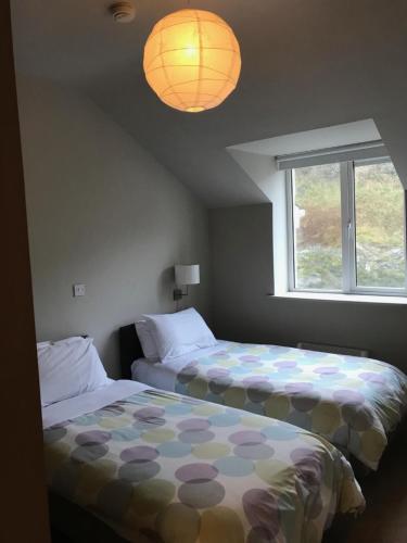 1 dormitorio con 2 camas, ventana y lámpara en Inchydoney Apt 6, Block D, en Clonakilty