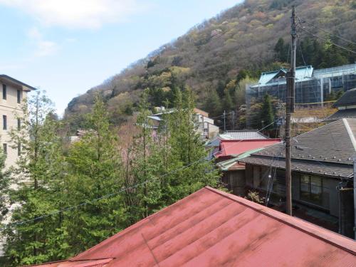 Pemandangan gunung umum atau pemandangan gunung yang diambil dari ryokan