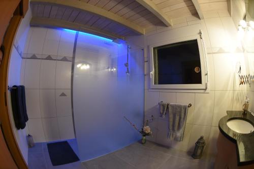 a bathroom with a shower and a sink at Bed and Breakfast La Petite Thielle in Cressier