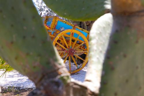 a yellow wagon is sitting behind a cactus at Ciriga Sicily Glamping in Santa Maria Del Focallo