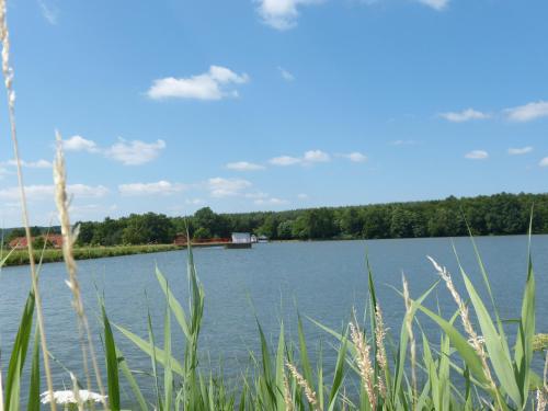 Gallery image of Tó Panzió Őrség Bajànsenye in Bajánsenye