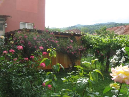 einen Garten mit Blumen vor einem Haus in der Unterkunft Casa Fabrizio in Călimăneşti
