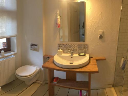ein Bad mit einem Waschbecken und einem WC in der Unterkunft WINNICA 34 nad Wisłą 1 in Toruń