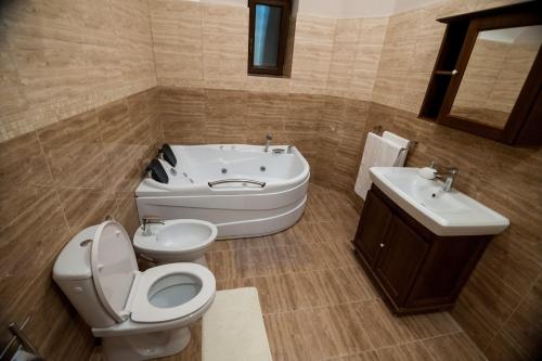a bathroom with a toilet and a sink at IMPERIAL ROOMS - ULTRACENTRAL - jacuzzi cu hidromasaj in Oradea