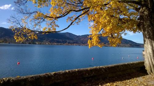 a view of a lake with a tree at Sonnenoase am Dachsberg zwischen München, Tegernsee, Chiemsee, Messe München in Moosach