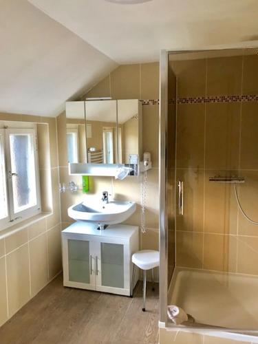a bathroom with a sink and a shower at Genusshotel Gersbacher Hof in Todtmoos