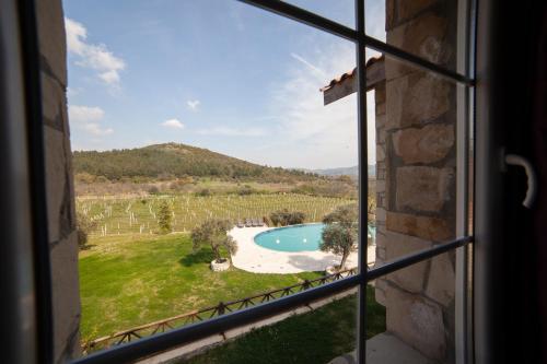 a window with a view of a pool and a vineyard at VINIFERA VINEYARDS HOTEL in Selcuk