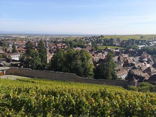 a view of a city from a hill with a wall at À La Cour de Ribeauvillé avec garage in Ribeauvillé