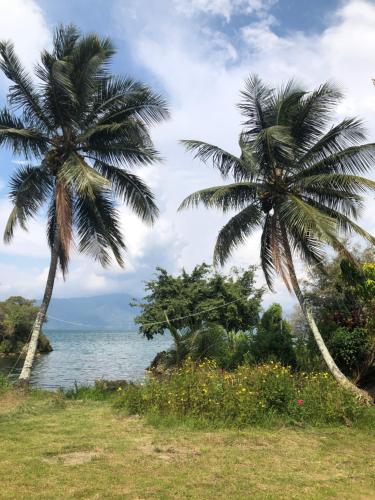 two palm trees next to the water on a beach at Leokap Homestay in Tuk Tuk