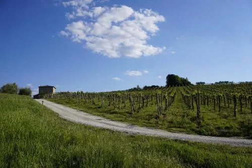 Agriturismo Il Casolare Di Bucciano photo