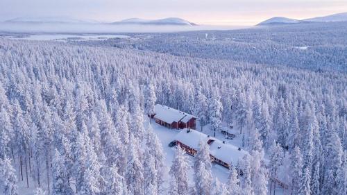 an aerial view of a snow covered forest at Kuerkievari KuerHostel in Äkäslompolo