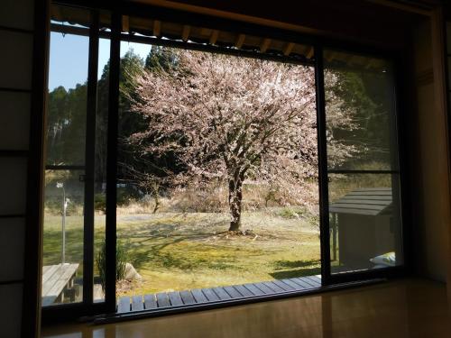 a window view of a tree in a field at Nouka Minsyuku Hyousa in Minamiechizen