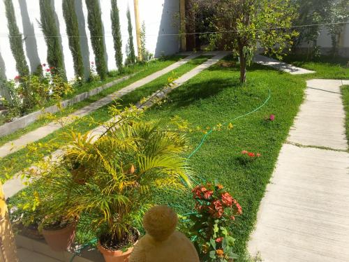 a garden with potted plants and a teddy bear at Casa Elim-Oaxaca in Teotitlán del Valle