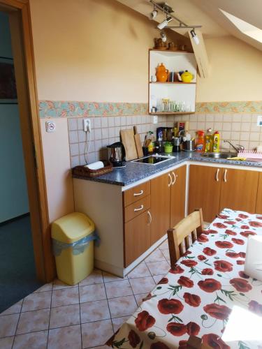 a kitchen with a sink and a table with a table cloth at Ubytování Poustka in Františkovy Lázně