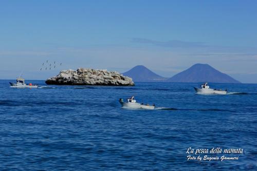 three boats in the water with a small island at Al Castello in Brolo