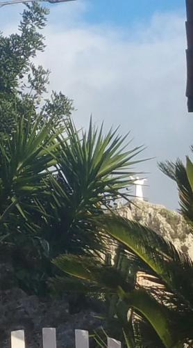 a group of palm trees with a lighthouse in the background at B&B nonnAngela in Maratea