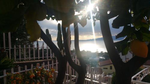 a view of the sun from behind a tree at B&B nonnAngela in Maratea
