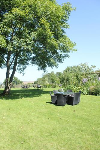 a picnic table in a field under a tree at Mallyan Spout Hotel in Goathland