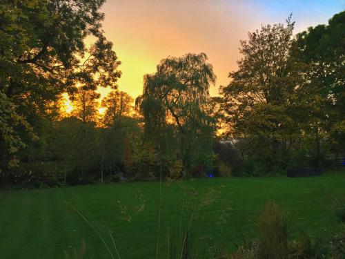 a sunset in a field with trees and grass at Mallyan Spout Hotel in Goathland