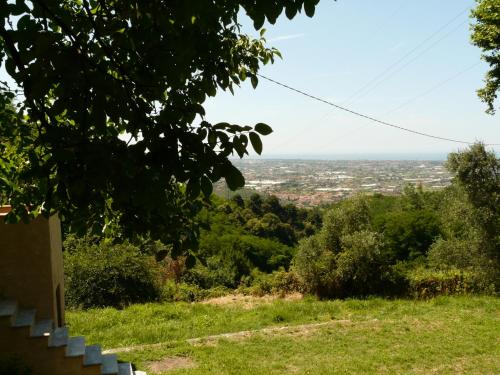 a view of a city from a hill with trees at La Grazia della Versilia in Santa Lucia
