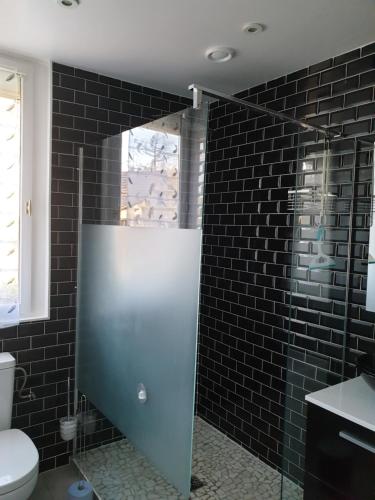 a bathroom with a toilet and a shower with black tiles at Etape forêt Fontainebleau climb & randonnées in Arbonne