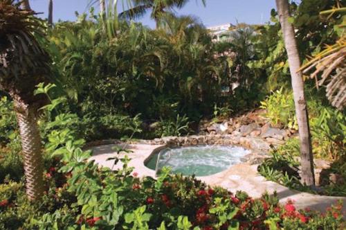 a small swimming pool in the middle of a garden at Beach Townhouse in St Thomas