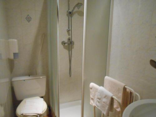 a bathroom with a shower and a toilet and a sink at La Vieille Auberge in Saint-Privat-dʼAllier