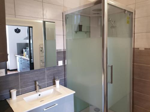 a bathroom with a sink and a shower at L'appart'hôtel vous accueille au cœur de Chaumont in Chaumont