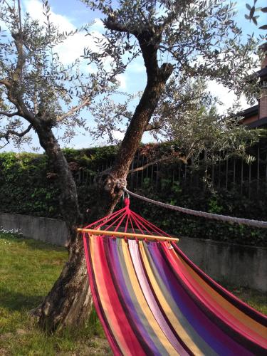 a hammock tied to a tree in a yard at Le Palme Sona in Sona