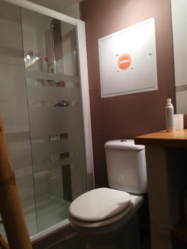 une salle de bain avec toilettes et douche en verre dans l'établissement Grand studio avec piscine, à Montpellier