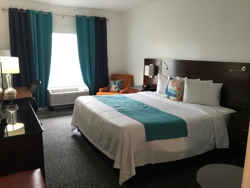 a hotel room with a bed and a window at Hotel Pensacola in Pensacola
