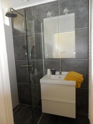 奧特洛的住宿－'t Grieze Huysje，带淋浴、盥洗盆和镜子的浴室