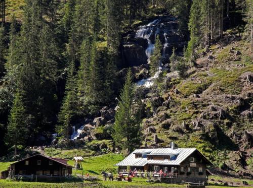 a house in a field next to a waterfall at Haller's Geniesserhotel in Mittelberg