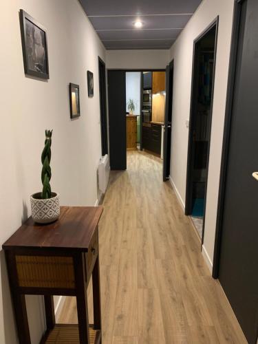 un couloir avec une table et une plante sur une table dans l'établissement Appartement LE TRITON, à Perros-Guirec