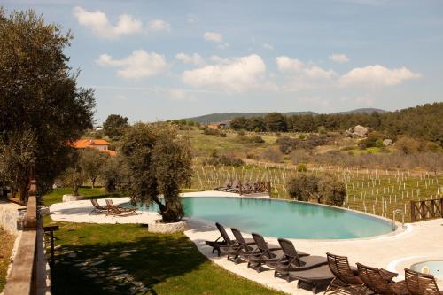 a swimming pool with chairs and a vineyard at VINIFERA VINEYARDS HOTEL in Selcuk