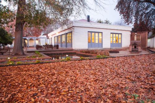 a white house with a tree and a pile of leaves at NOI Blend Colchagua in Santa Cruz