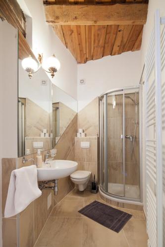a bathroom with a toilet and a sink and a shower at Burg Plankenstein in Texing