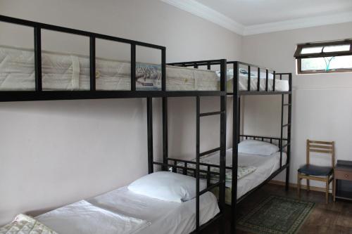 two bunk beds in a room with a window at TJ Guest House in Makhinjauri