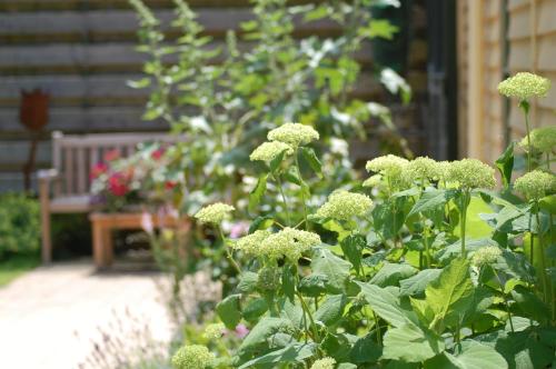 Jardin de l'établissement Lelymare Logies