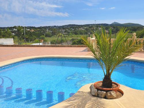 a palm tree in a pot next to a swimming pool at Holiday Home Patrai by Interhome in Jávea