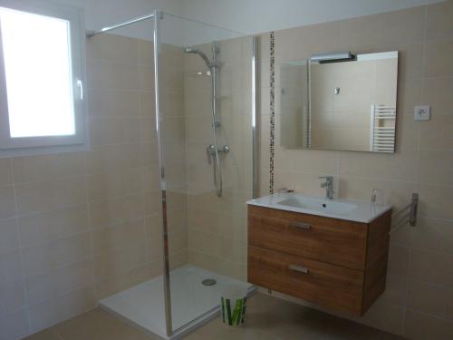 a bathroom with a shower and a sink and a mirror at Residence Castugna in Cargèse
