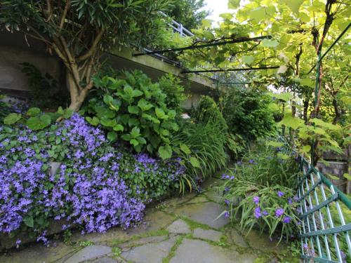 a garden with purple flowers and a fence at Apartment Sabrina by Interhome in Nesso