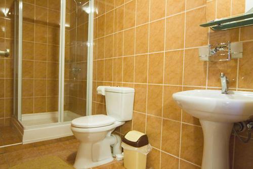 a bathroom with a toilet and a sink at Beregynia in Zhdenievo
