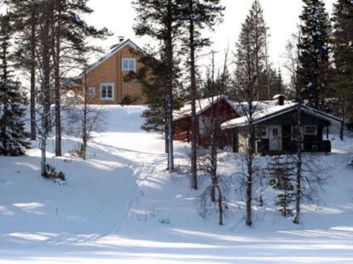 Holiday Home Sänkelä by Interhome talvella