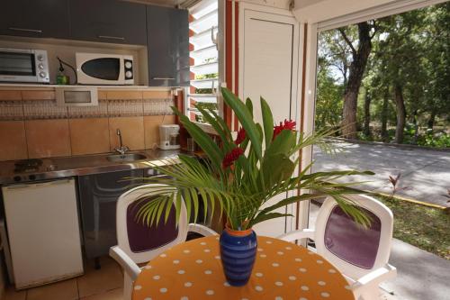 a kitchen with a table with a plant in a vase at Appartements Residence Mahoghany in Sainte-Anne