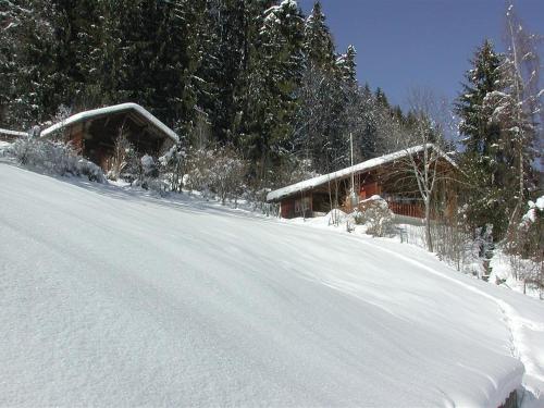 ツヴァイジンメンにあるApartment Schnäggedanz- Chaletの雪道
