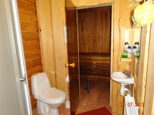 a bathroom with a toilet and a sink at Külalistemaja Vehendi Motell in Vehendi