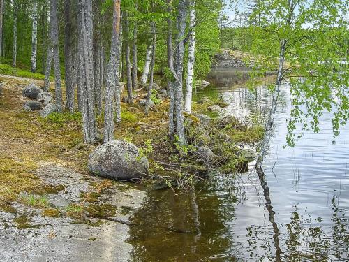 un bosque con árboles y un cuerpo de agua en Holiday Home 2233 by Interhome, en Savonranta