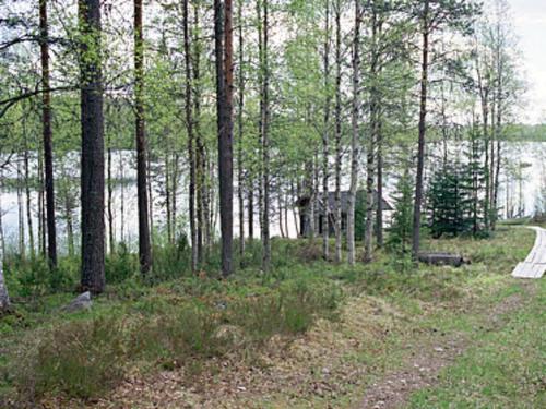 UkkohallaHoliday Home Mustikkainen by Interhome的一条穿过森林的小路,靠近水体