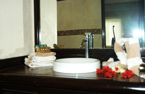 a bathroom counter with a sink and a mirror at Hotel Chapul Inn in Acapulco